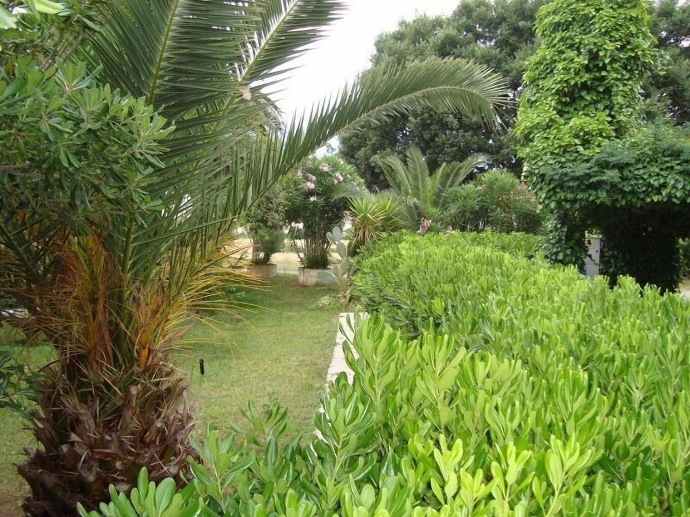 Hotel Sabatino فولّونيكا المظهر الخارجي الصورة